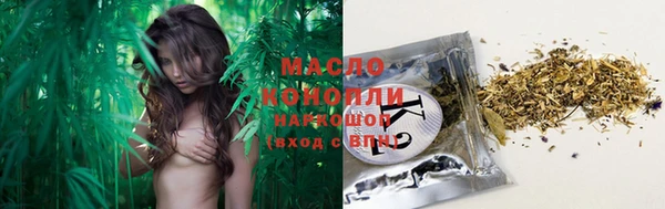 крисы Белая Холуница