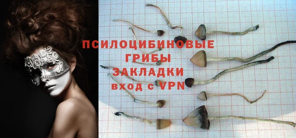 гашиш Нефтекумск