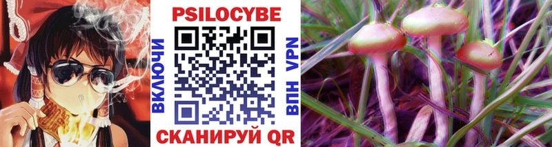 Псилоцибиновые грибы Psilocybe  купить  цена  Зубцов 